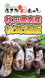 国産松茸通販